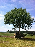 Spezielles
